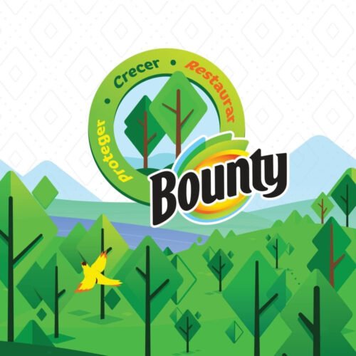 Bounty Select-A-Size Paper Towels, White, 6 Double Rolls  12 Regular Rolls - Image 6
